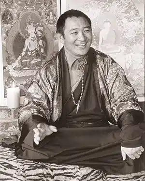Tarthang Tulku Rinpoché