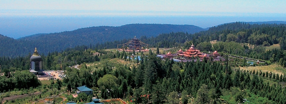 Tarthang Rinpoché et Dilgo Khyentsé